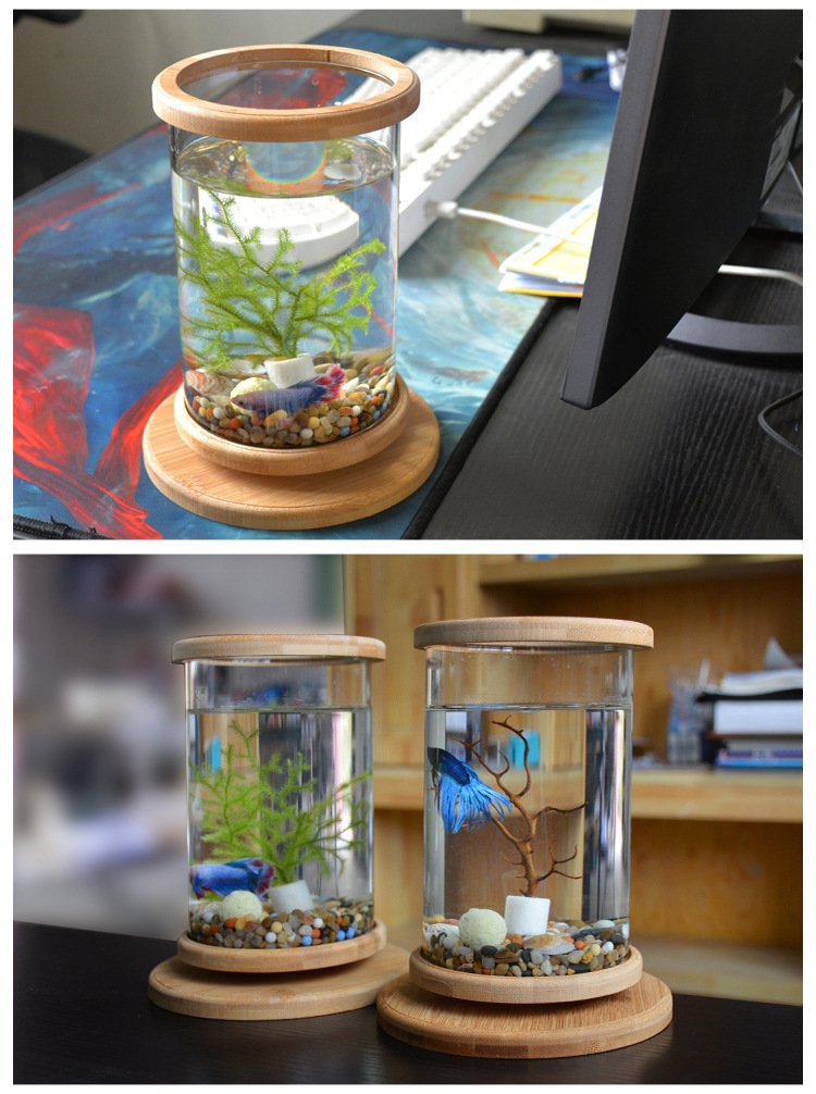 Small Office Glass Aquarium Bamboo Base Mini Fish Tank Decoration Fish Bowl - Image 6