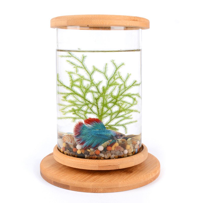 Small Office Glass Aquarium Bamboo Base Mini Fish Tank Decoration Fish Bowl - Image 3